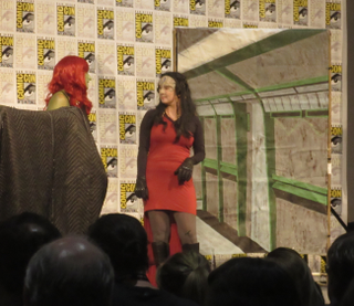 Illustration for article titled Comic Con Report, volume 6: Room 6A
Edition